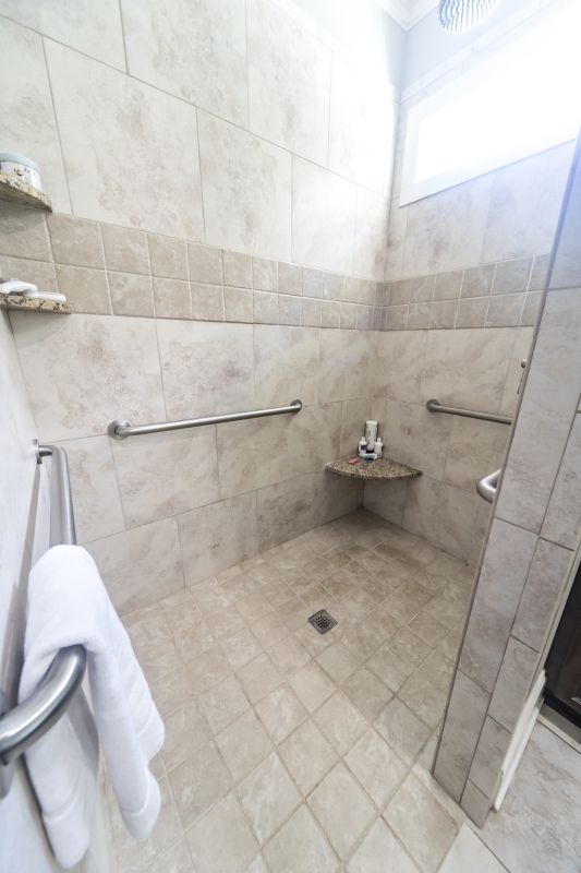 Walk-in Shower with Tile Accents